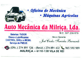 auto mecanica milrica