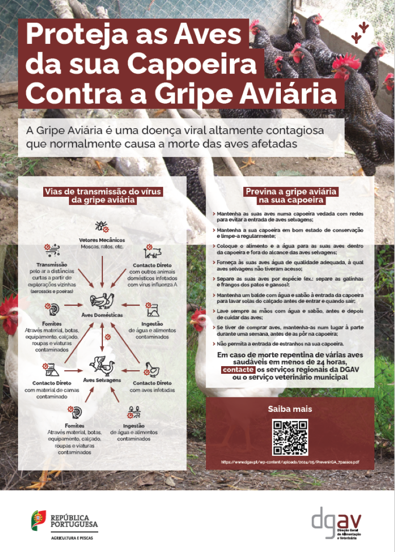 cartaz gripe das aves