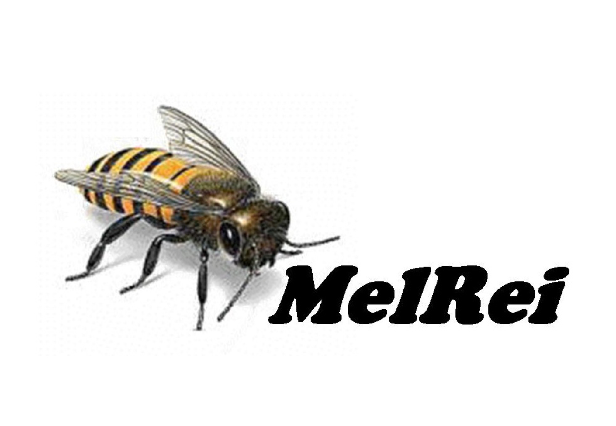 Cooperativa de Produtores de Mel de Vila de Rei