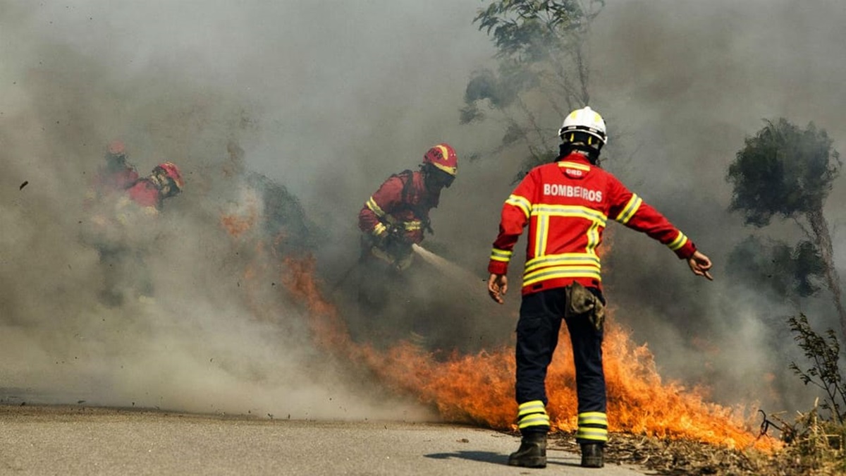 Bombeiros em fogo rural