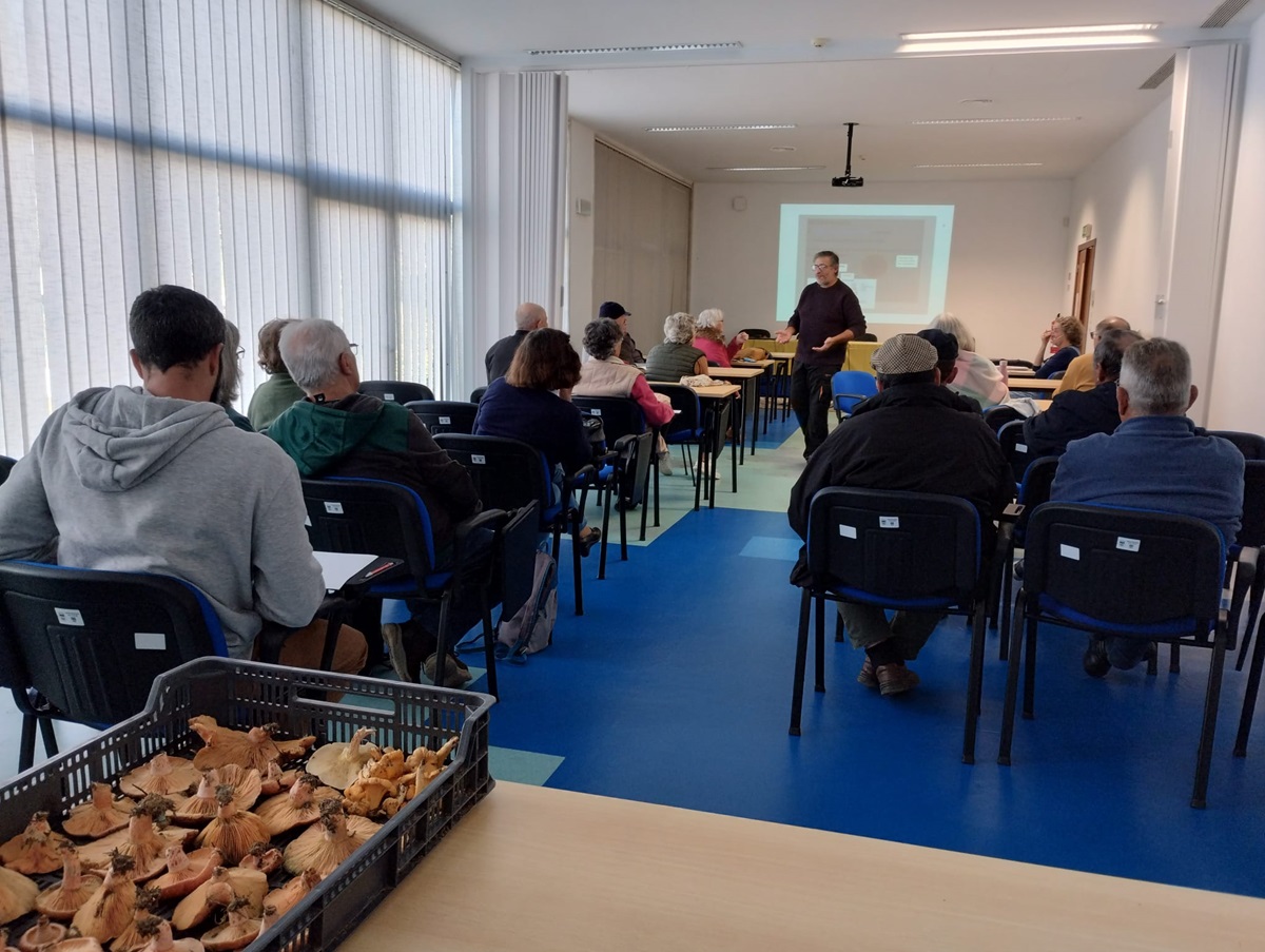 Sessão sobre poda de árvores de fruto