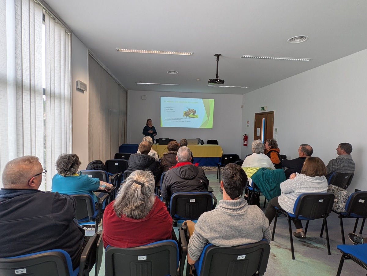 Sessão sobre abelhas