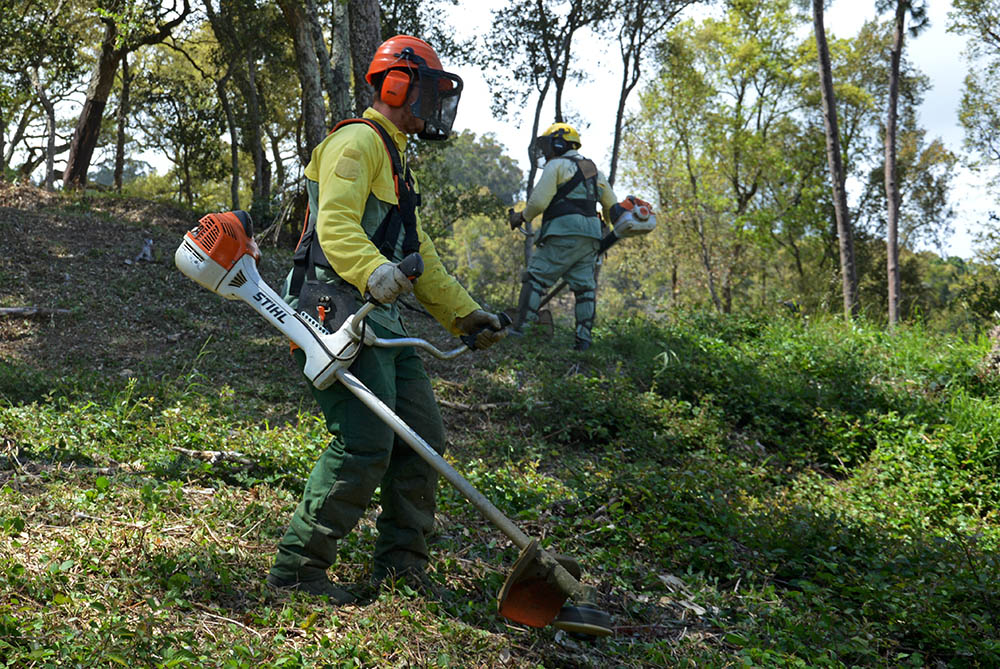 Sapador Florestal em ação