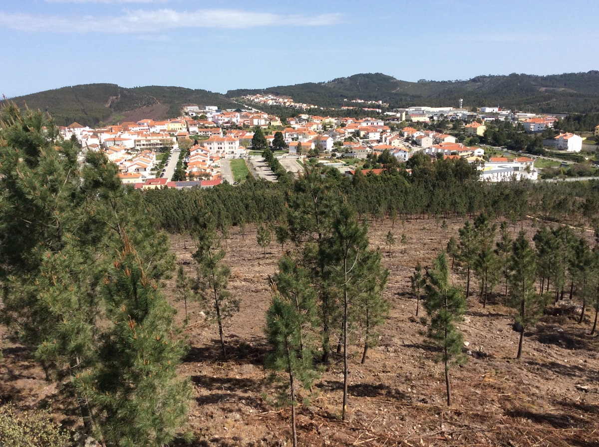 Controlo de espécies invasoras