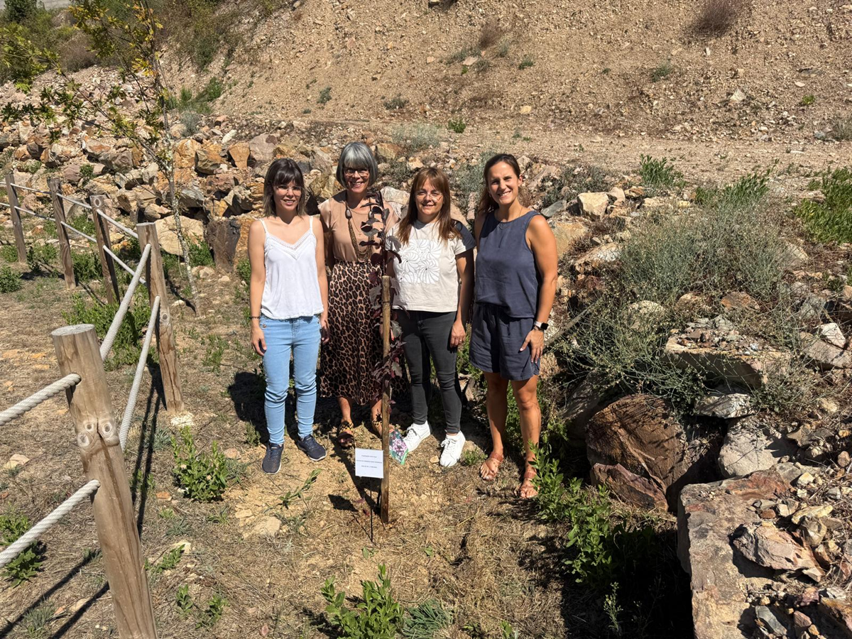 Plantação da árvore