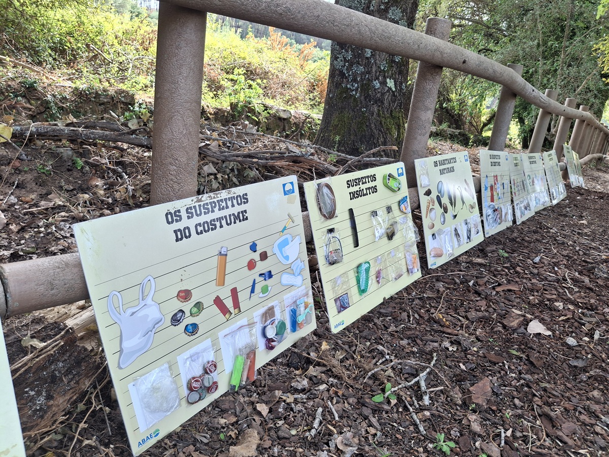 Iniciativa a decorrer