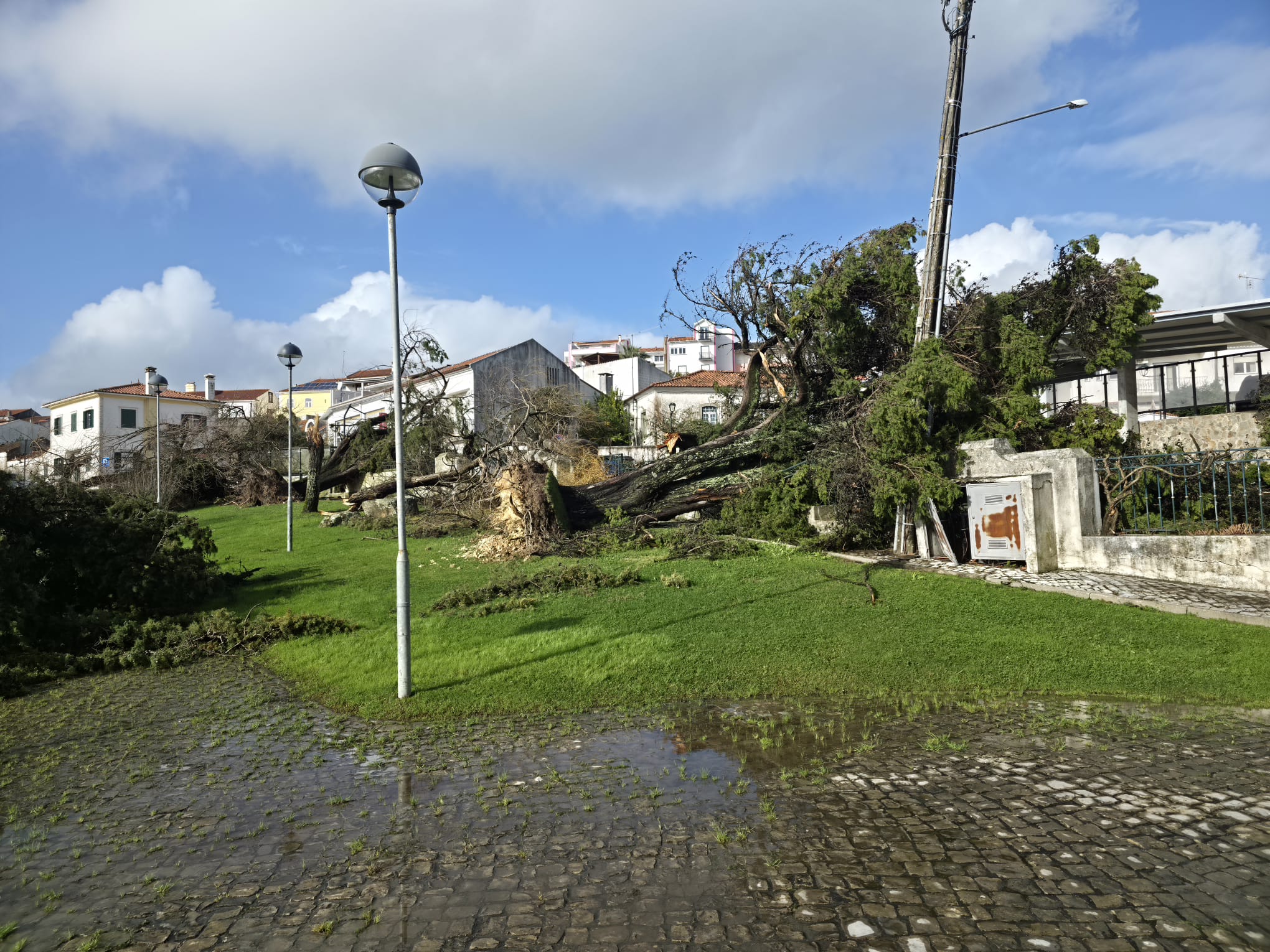 depressão 31 de janeiro