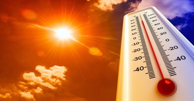 Proteção Civil alerta para temperaturas elevadas e reforça medidas de prevenção junto da população