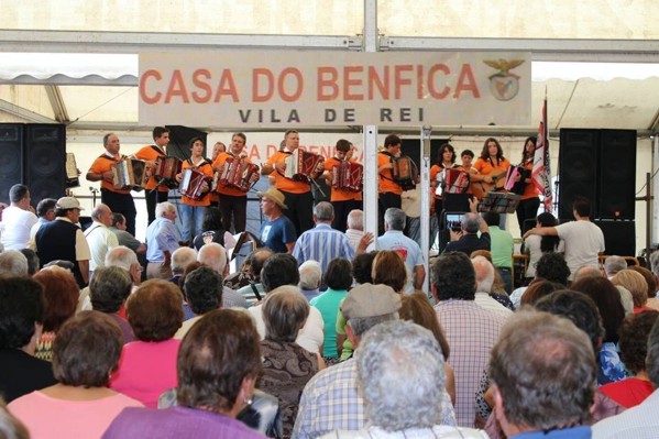 concertinas1