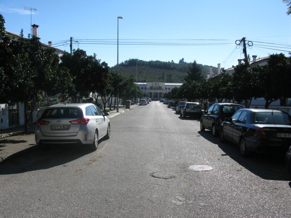 avenida camara