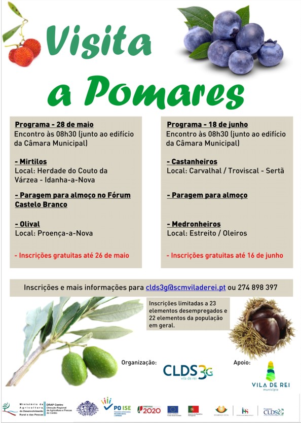 visita pomares