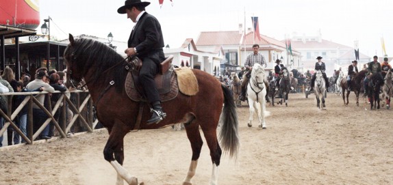 feira cavalo
