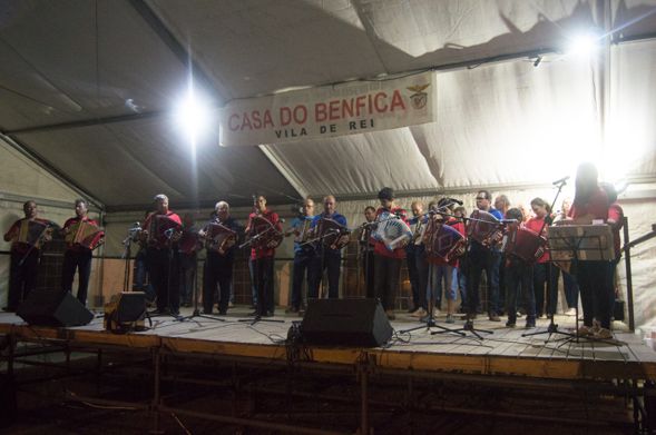 concertinas final2017