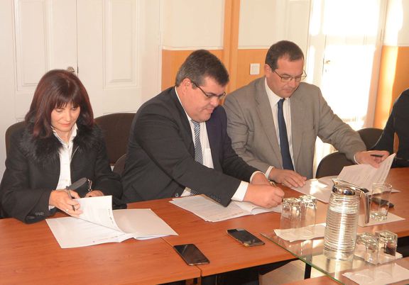 protocolo alimentacao