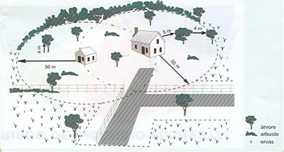 gestao combusteiveis