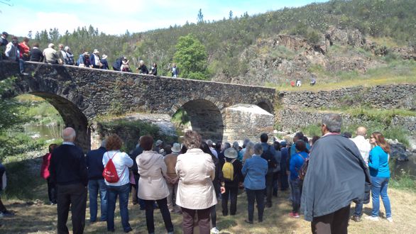 intercambio univ senior