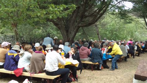 intercambio univ senior2