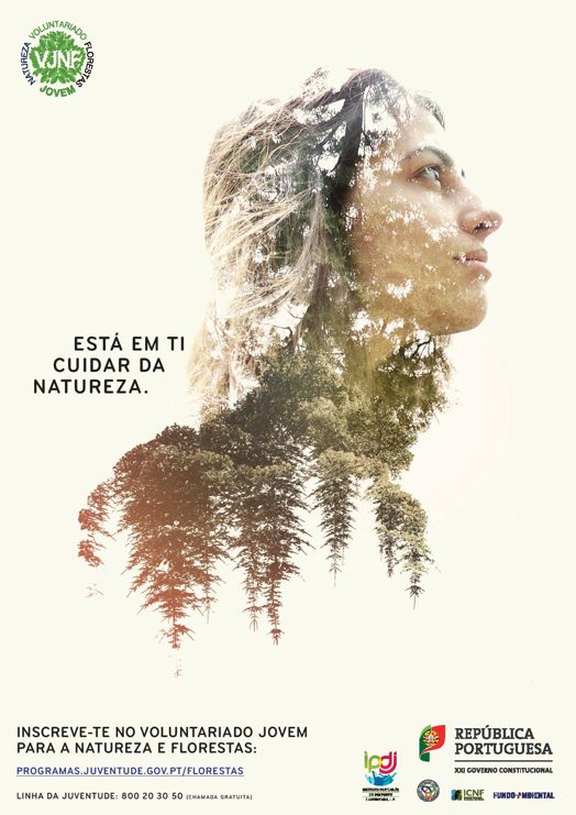 voluntariado floresta