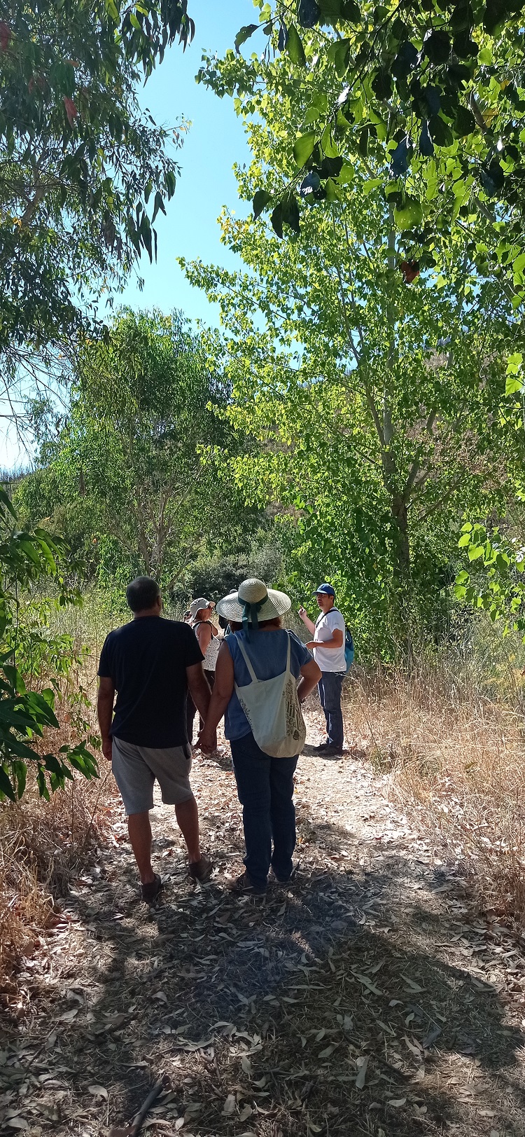 1629661562277 - site