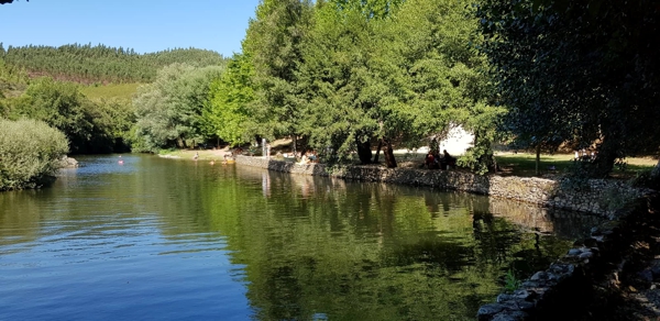 Município aprova proposta de protocolo com Município de Mação para reabilitação da estrada entre Portela dos Colos e Pego das Cancelas